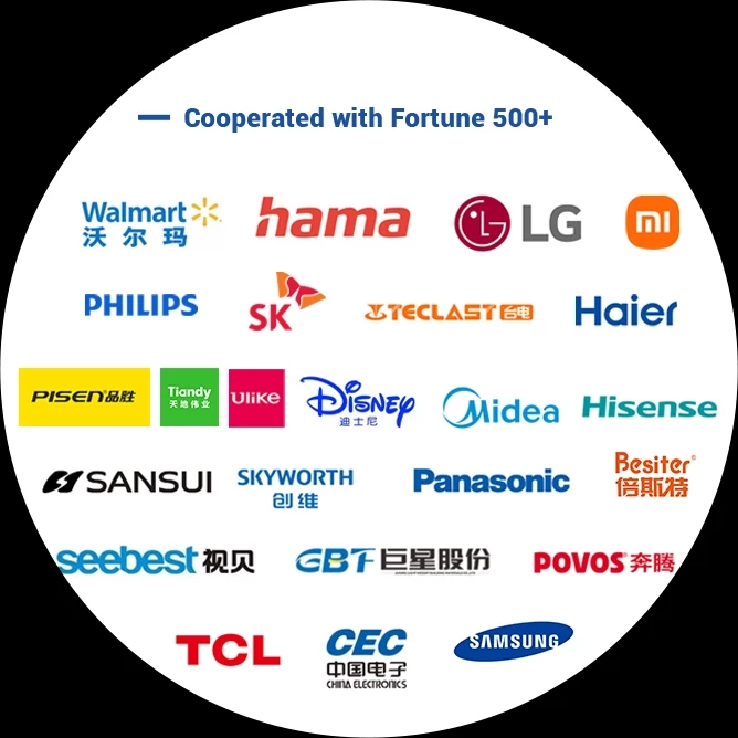 Cooperated with Fortune 500+